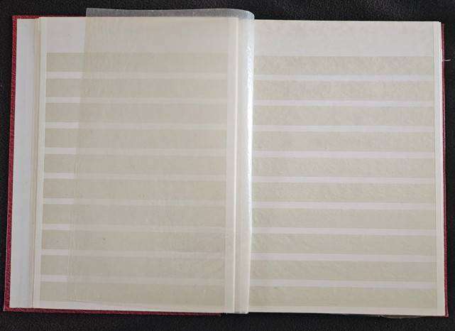 Stock Book 18 Page (36 sides, 10 rows) (very good condition  see detail below)