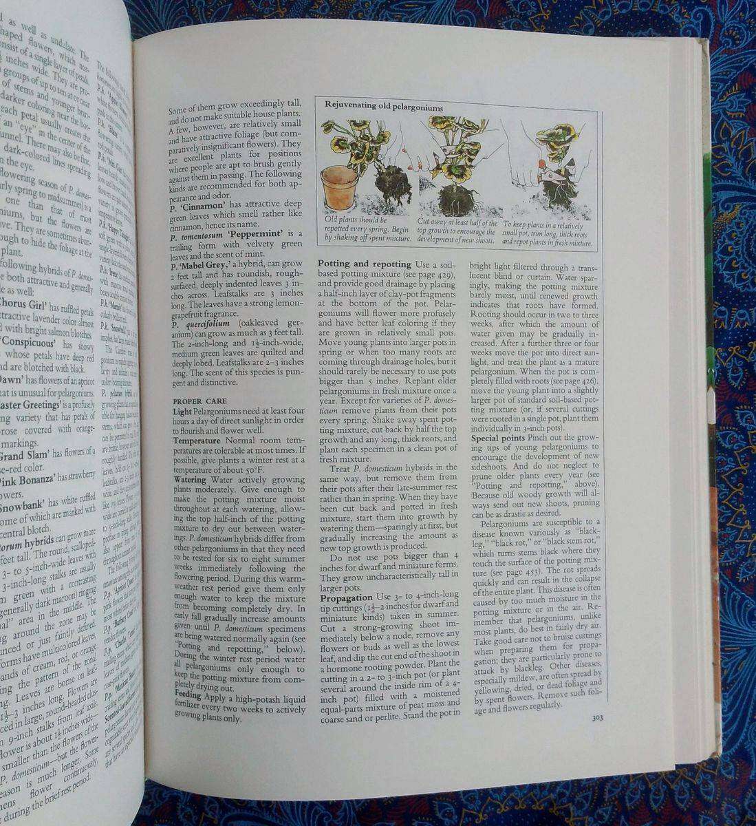 Reader's Digest Success with House Plants