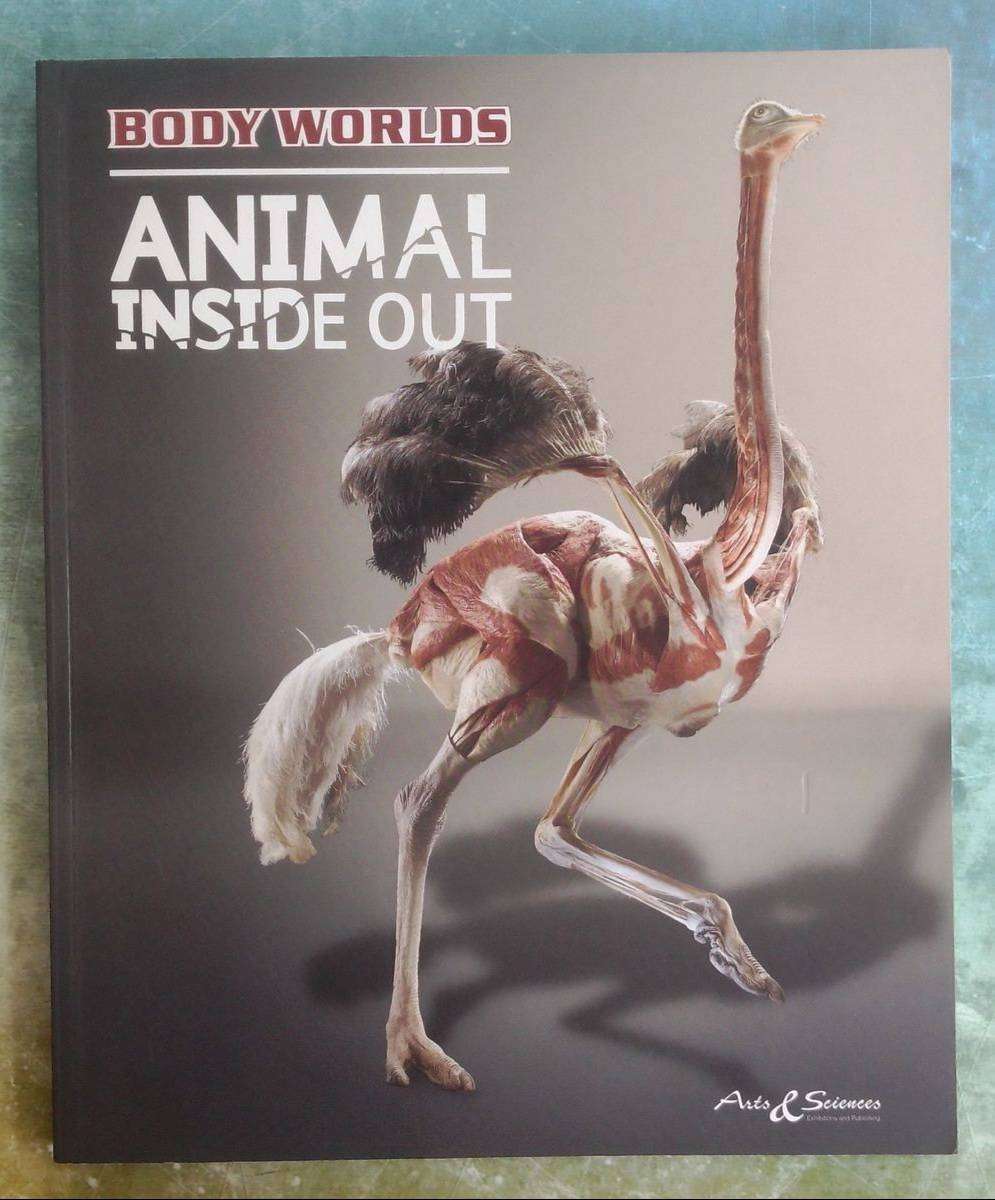 Body Worlds - Animals Inside Out