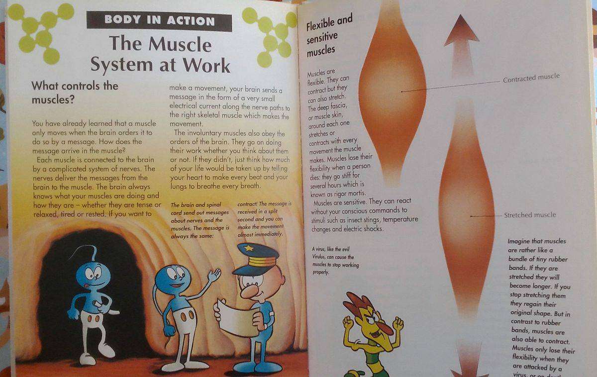 How My Body Works - An Orbis Play & Learn Collection Volume 1 - 15