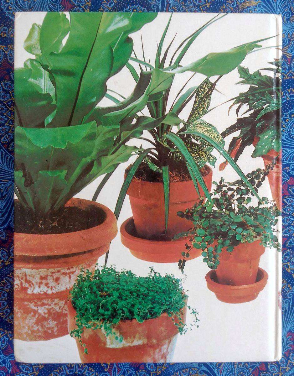 Reader's Digest Success with House Plants