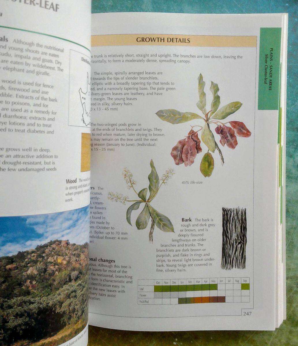 Sappi Tree Spotting: Bushveld Including Pilanesberg & Magaliesberg