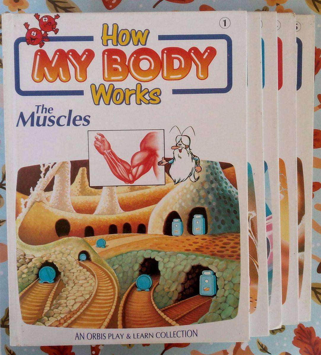How My Body Works - An Orbis Play & Learn Collection Volume 1 - 15