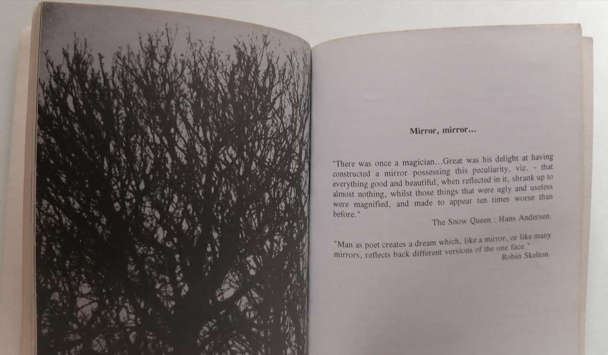 Mirror Mirror by Kevin McCann