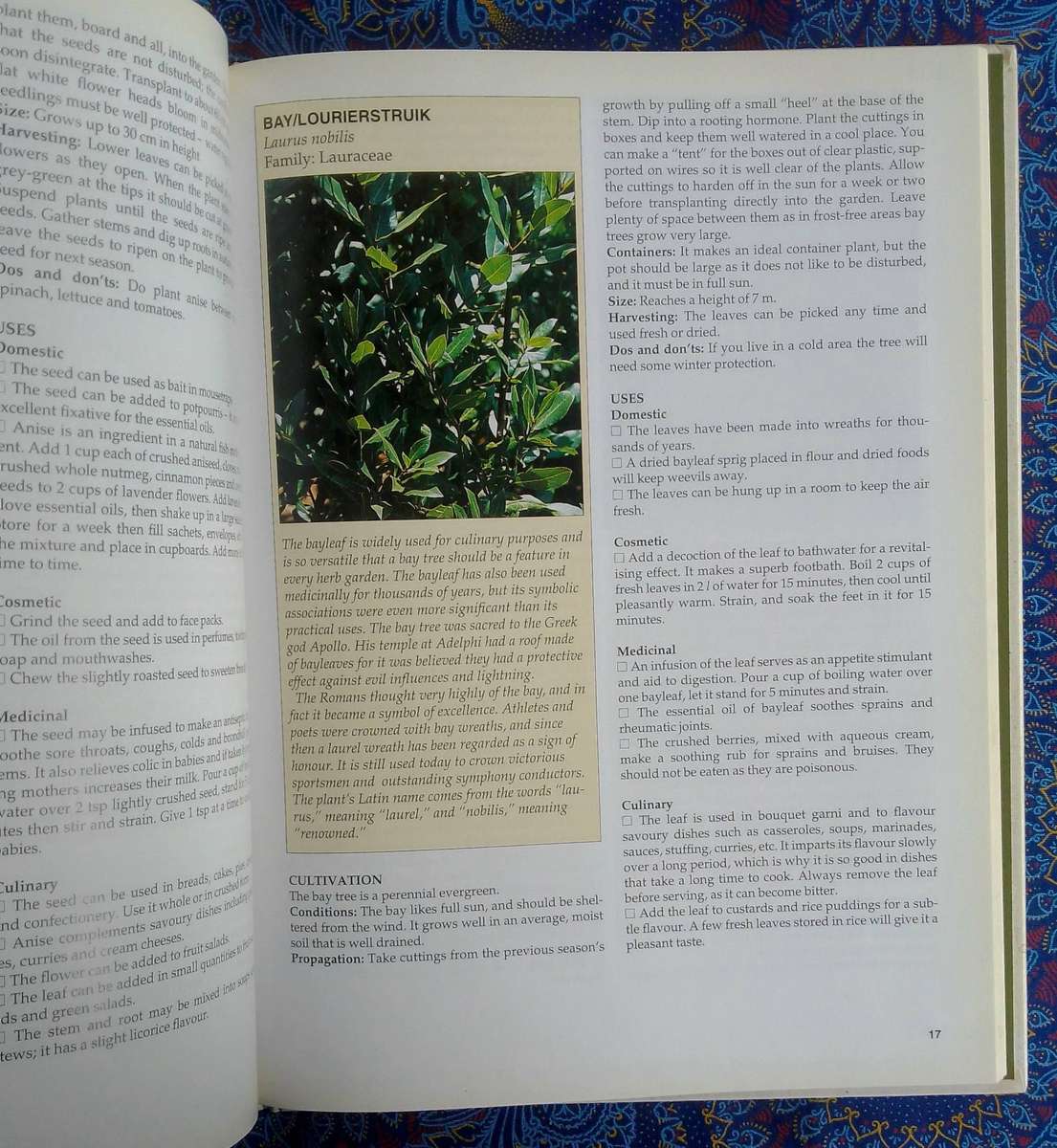 A - Z of Herbs by Margaret Roberts