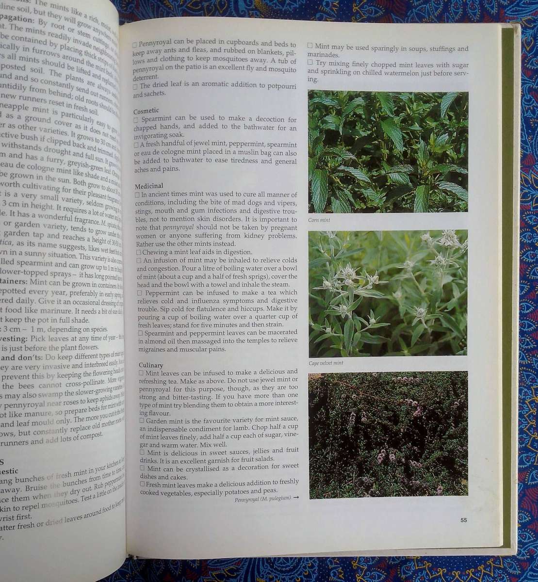 A - Z of Herbs by Margaret Roberts