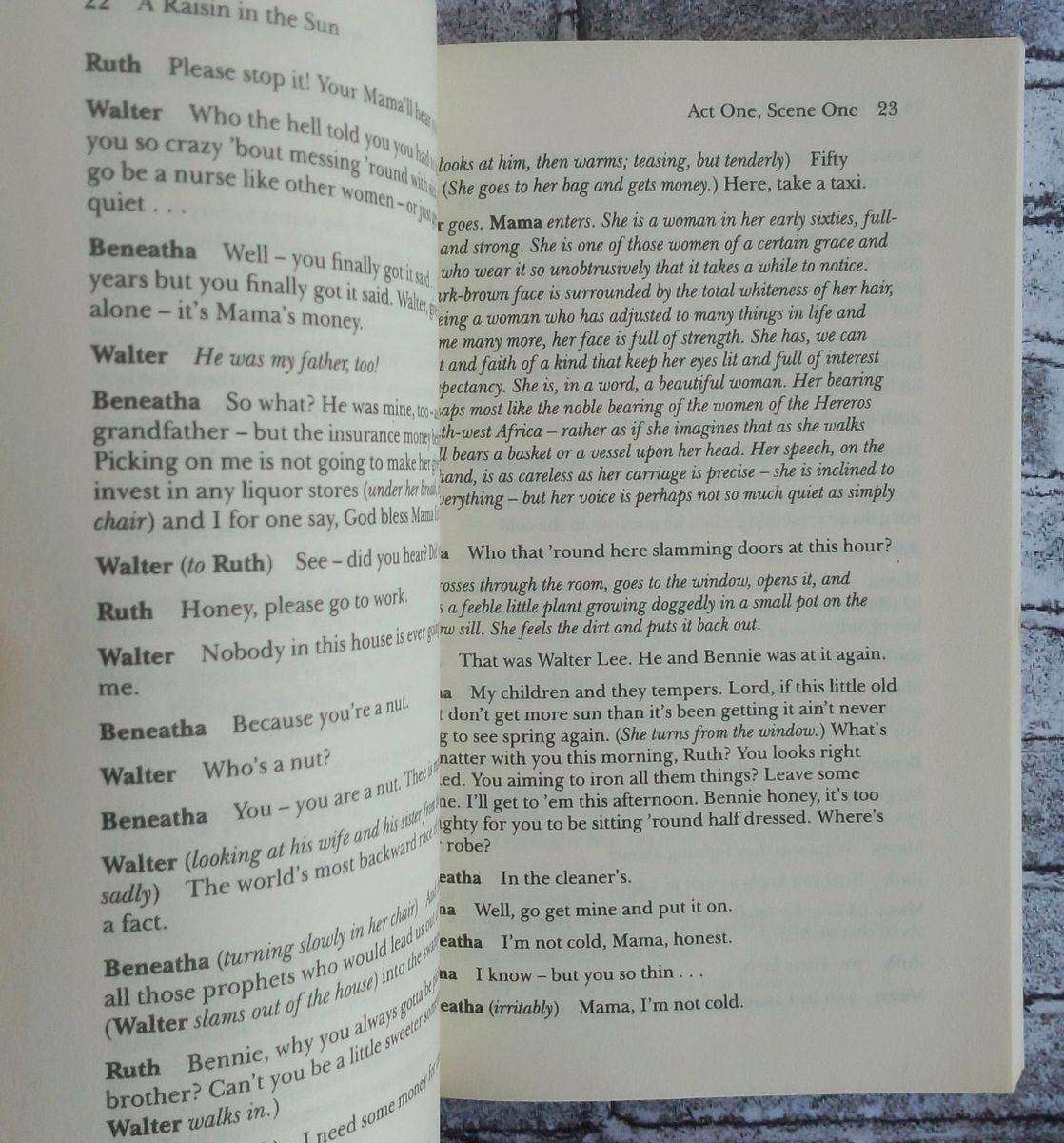 A Raisin in the Sun by Lorraine Hansberry