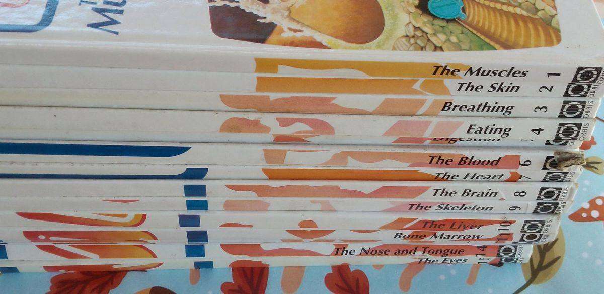 How My Body Works - An Orbis Play & Learn Collection Volume 1 - 15