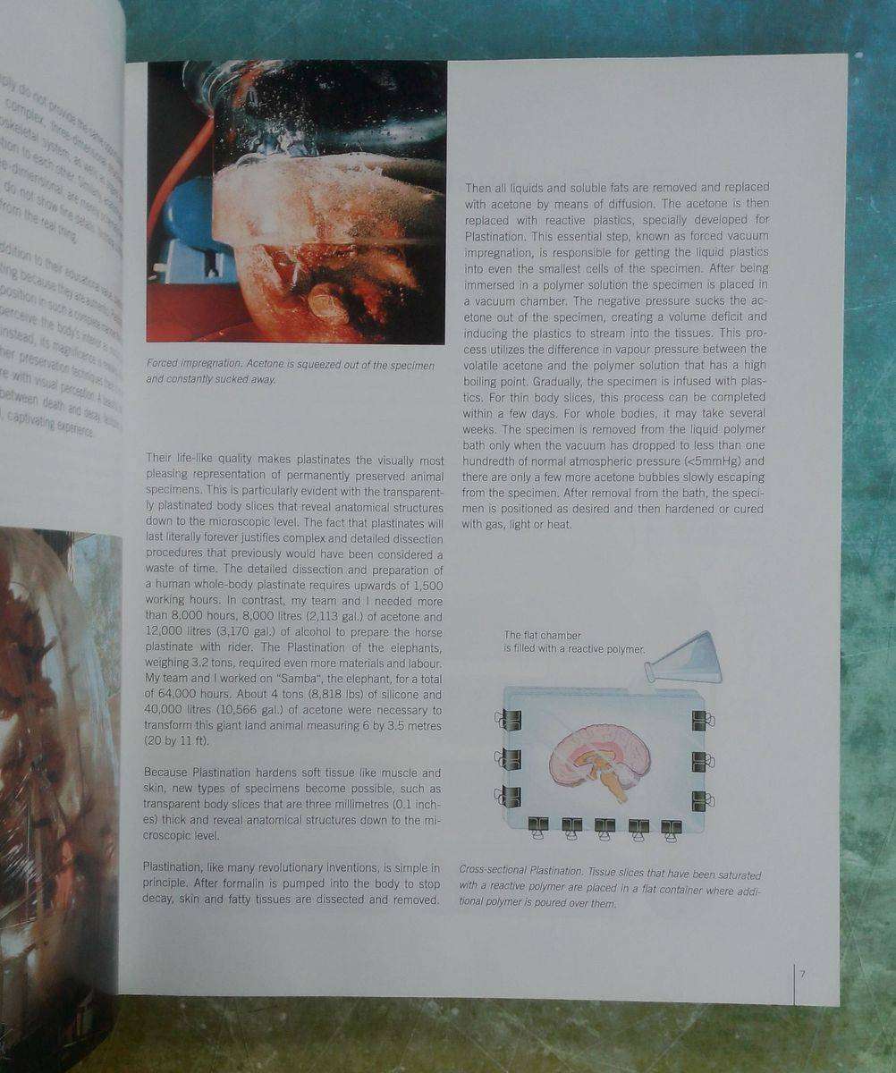 Body Worlds - Animals Inside Out