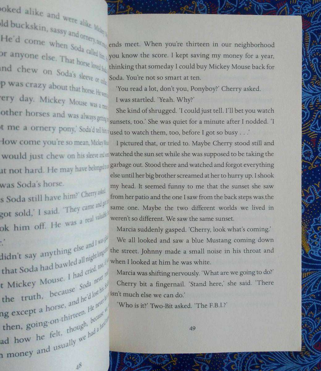 The Outsiders by S. E. Hinton