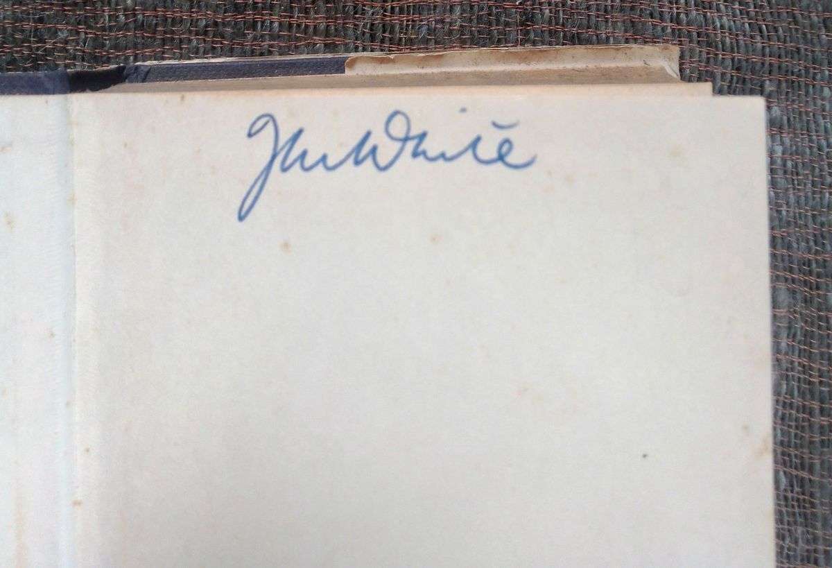 Night Falls on the City by Sarah Gainham