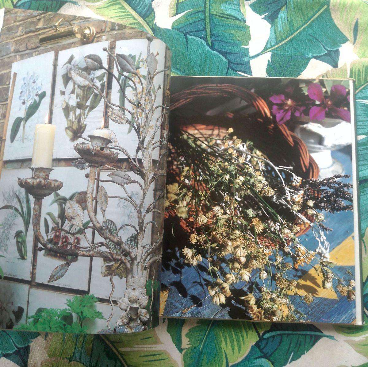 Outdoors / Indoors - Interior Design with Natural Style by Barbara Aria