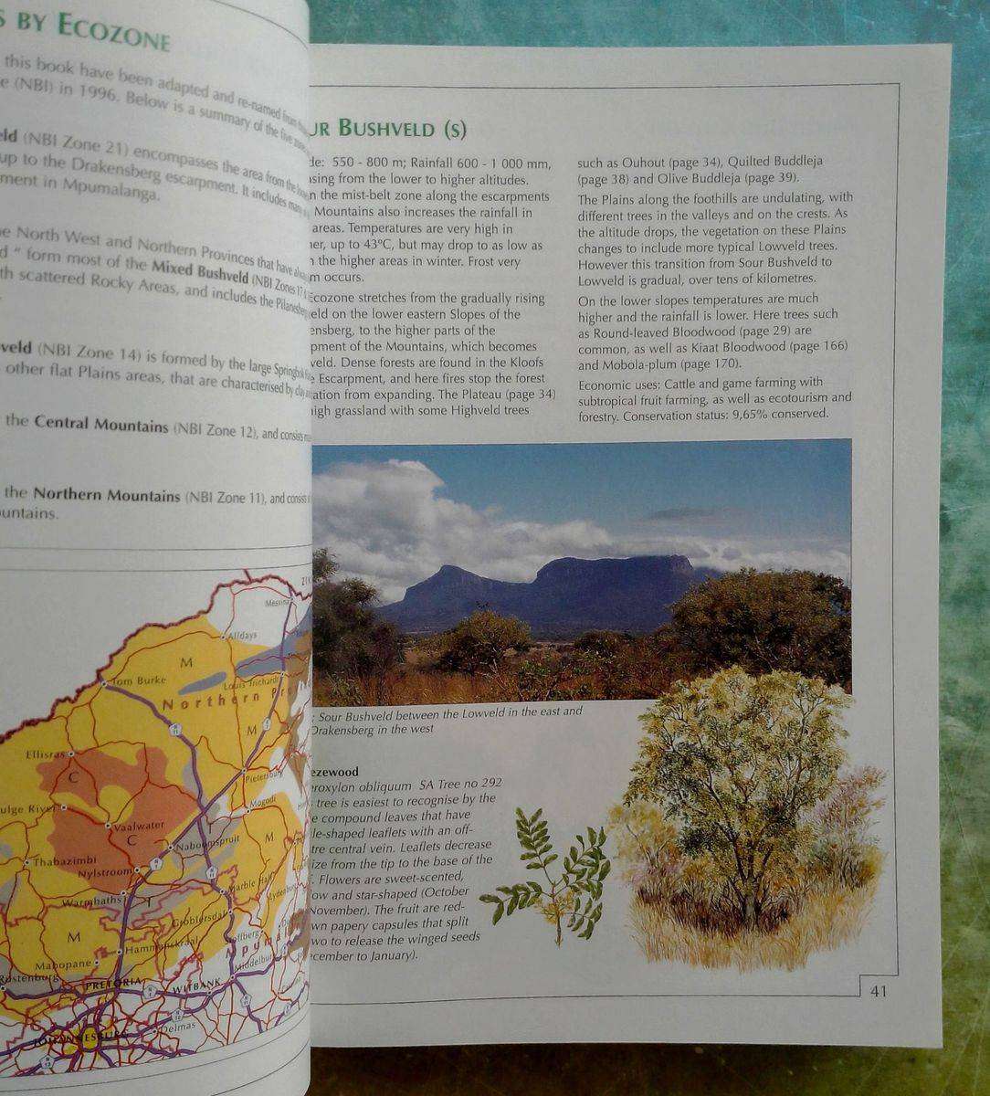 Sappi Tree Spotting: Bushveld Including Pilanesberg & Magaliesberg