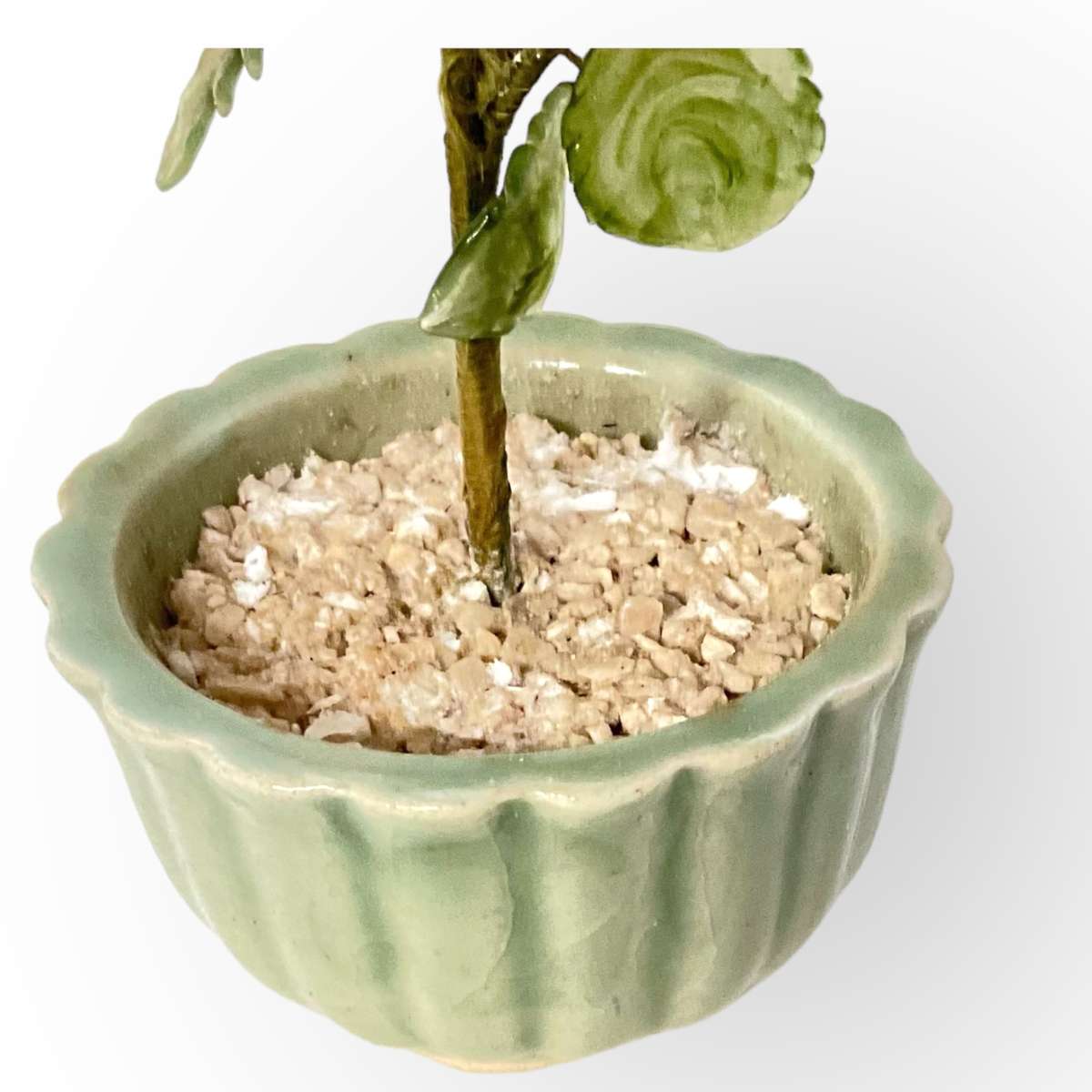 Oriental blossom tree in green ceramic pot - so pretty!