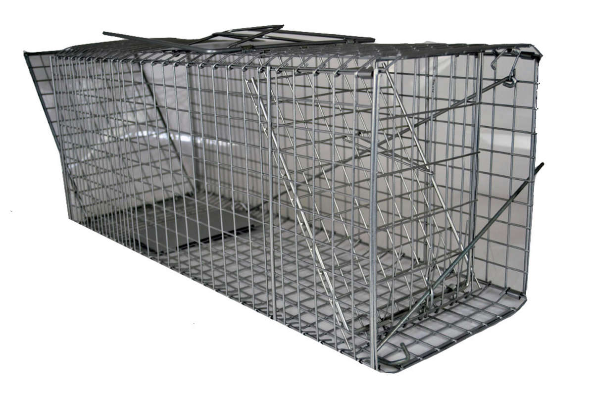 ANIMAL TRAP FOLDABLE 2 DOOR 66CM X 23.5CM X 30CM CH628-2