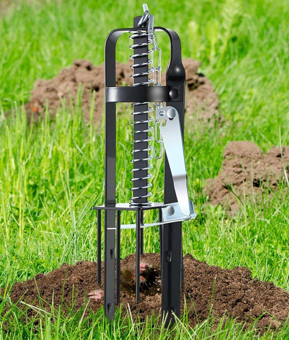 MOLE TRAP 330 X 105 X 100MM CH-619