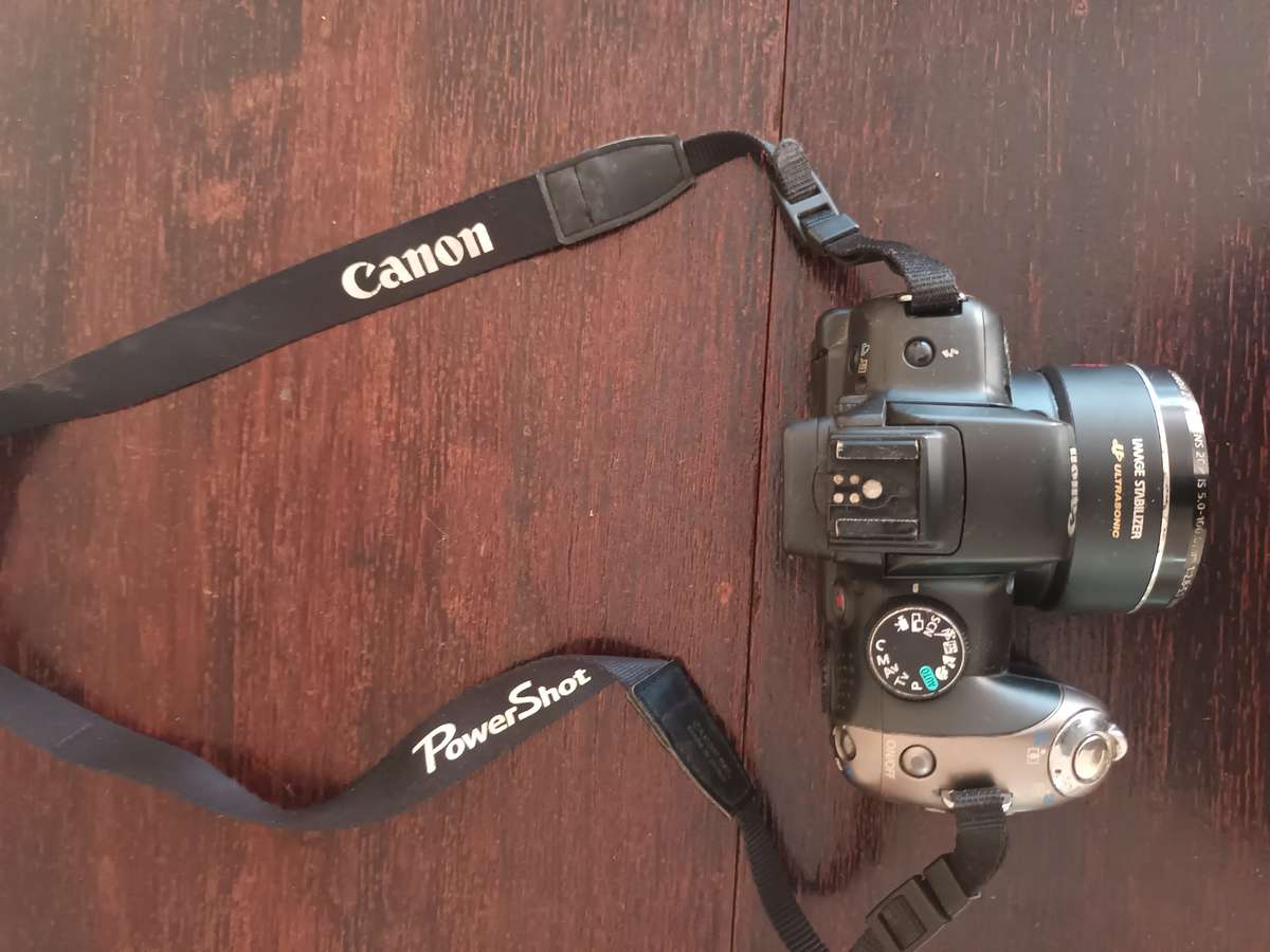 Canon PowerShot SX20 IS 12.1MP CCD Bridge Camera