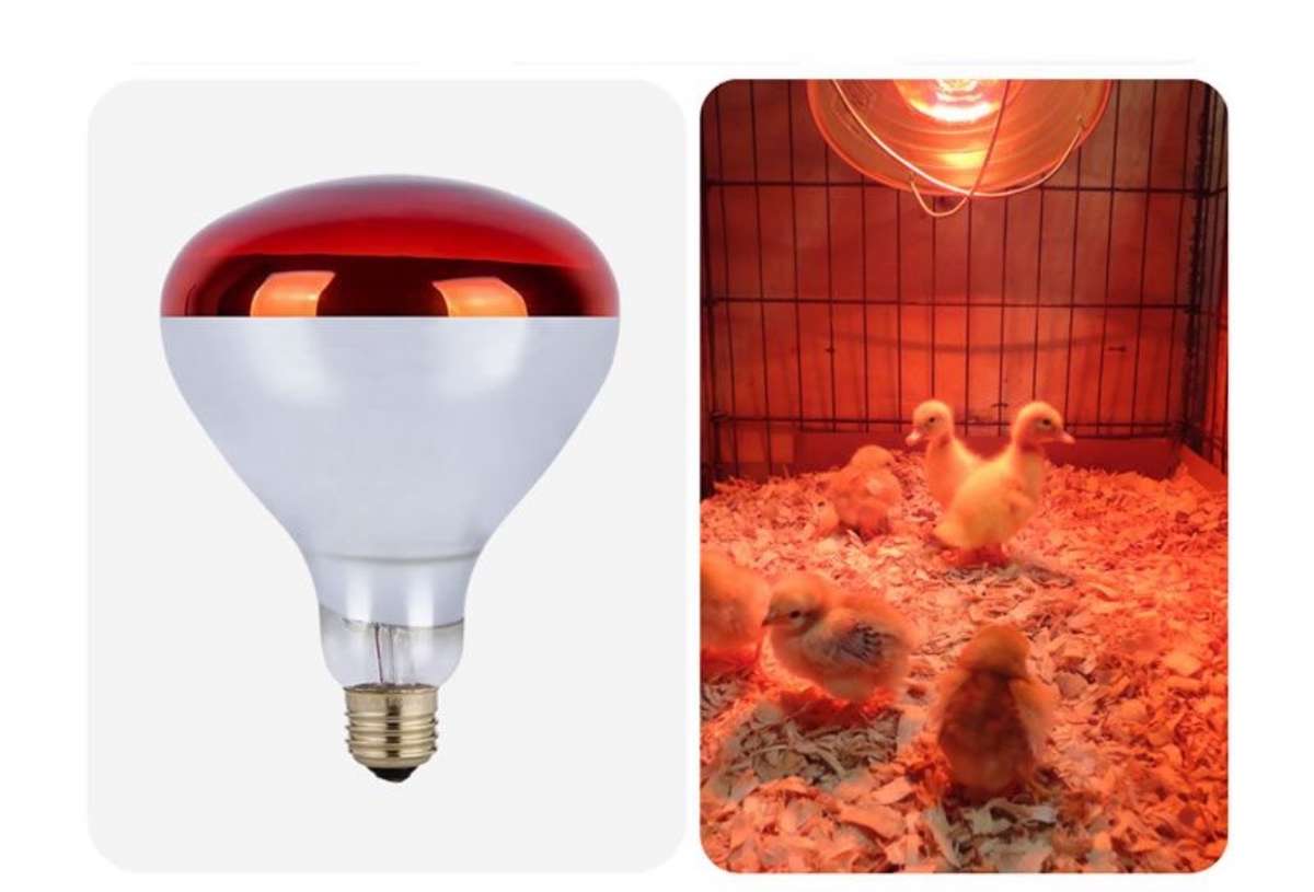 Animal Red Infrared Heat Lamp