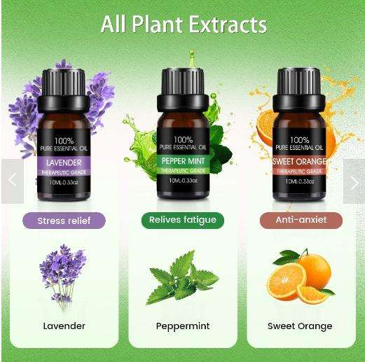 6 PCS Essential Oils Set Pure Aroma Fragrance for Diffuser Humidifier 10ml