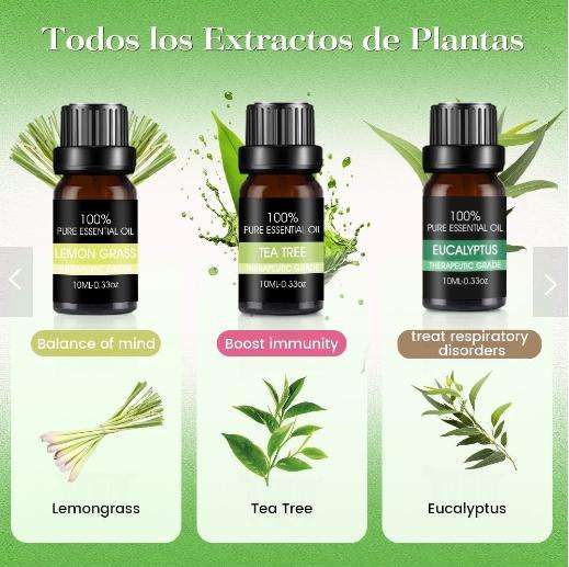 6 PCS Essential Oils Set Pure Aroma Fragrance for Diffuser Humidifier 10ml