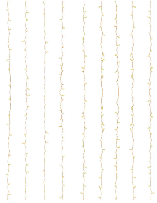 Christmas curtain LED lights White 6*3M