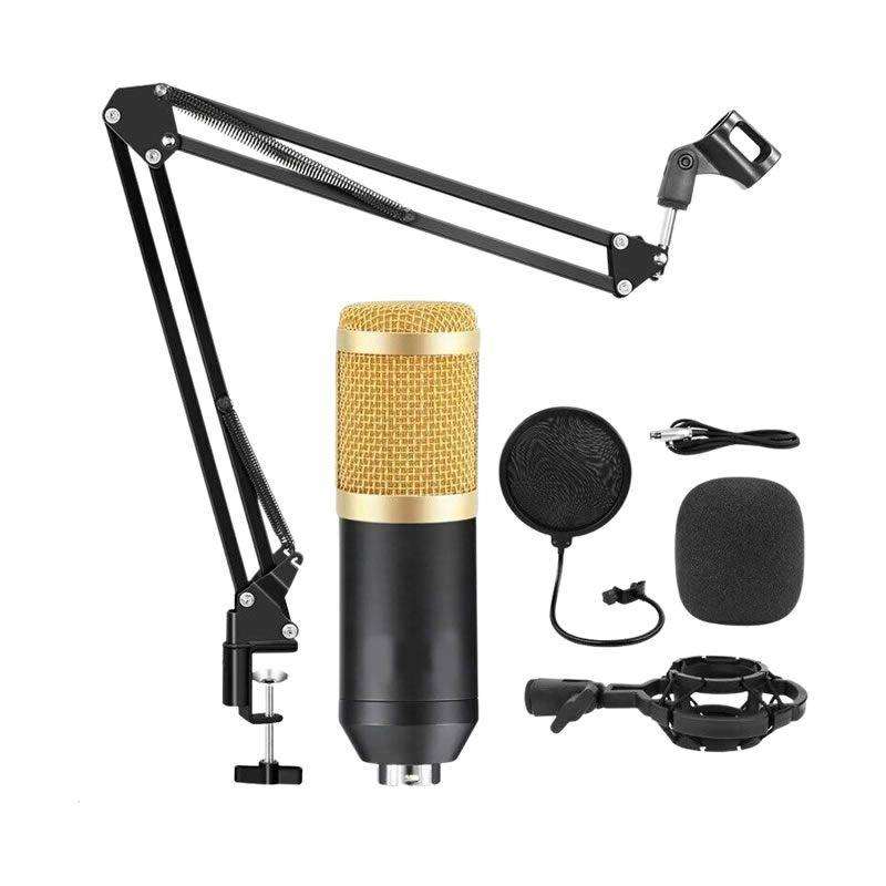 BM800 Professional Condenser Microphone