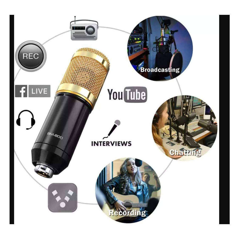 BM800 Professional Condenser Microphone
