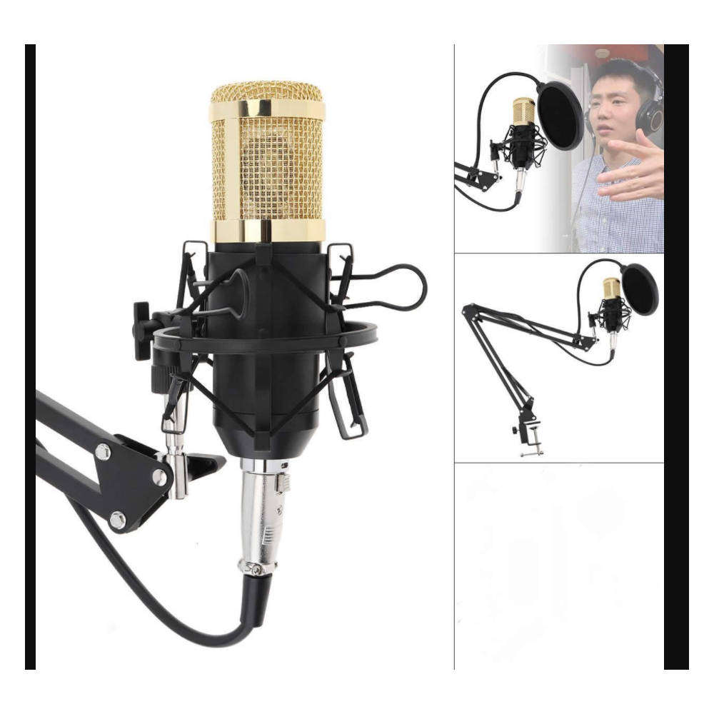 BM800 Professional Condenser Microphone