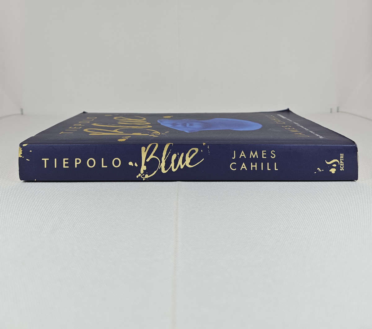 Tiepolo Blue by James Cahill - Paperback