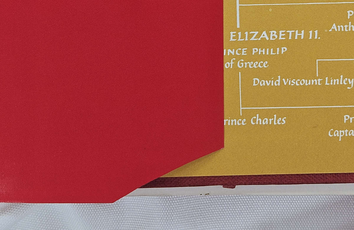 Elizabeth Our Queen by Reginald Davis - Hardback