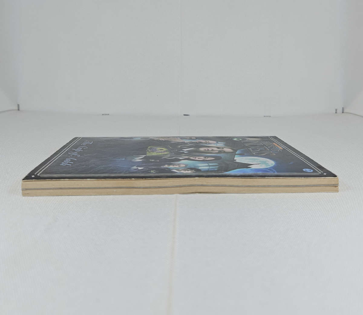 House of Anubis: The Cup of Ankh (Book 2) by Peter McGarth - Paperback