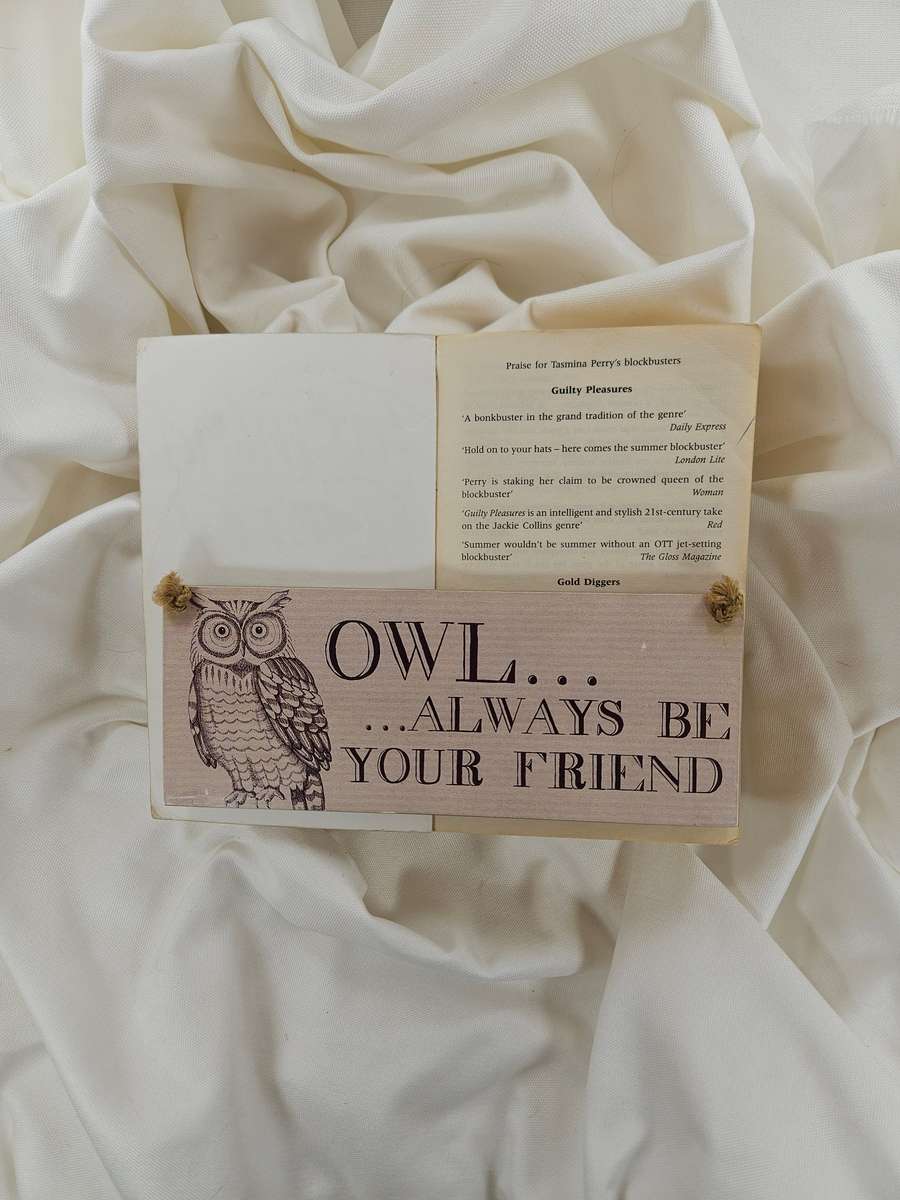 Guilty Pleasures by Tasmina Perry - Paperback