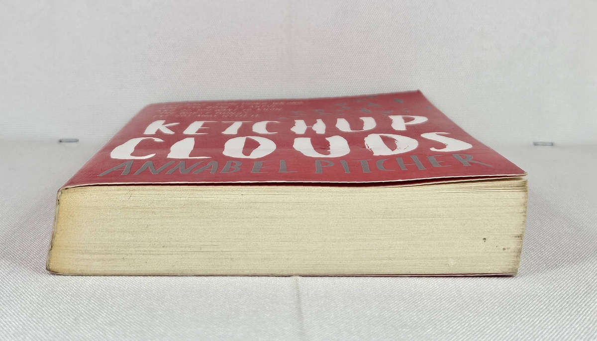 Ketchup Clouds by Annabel Pitcher - Paperback