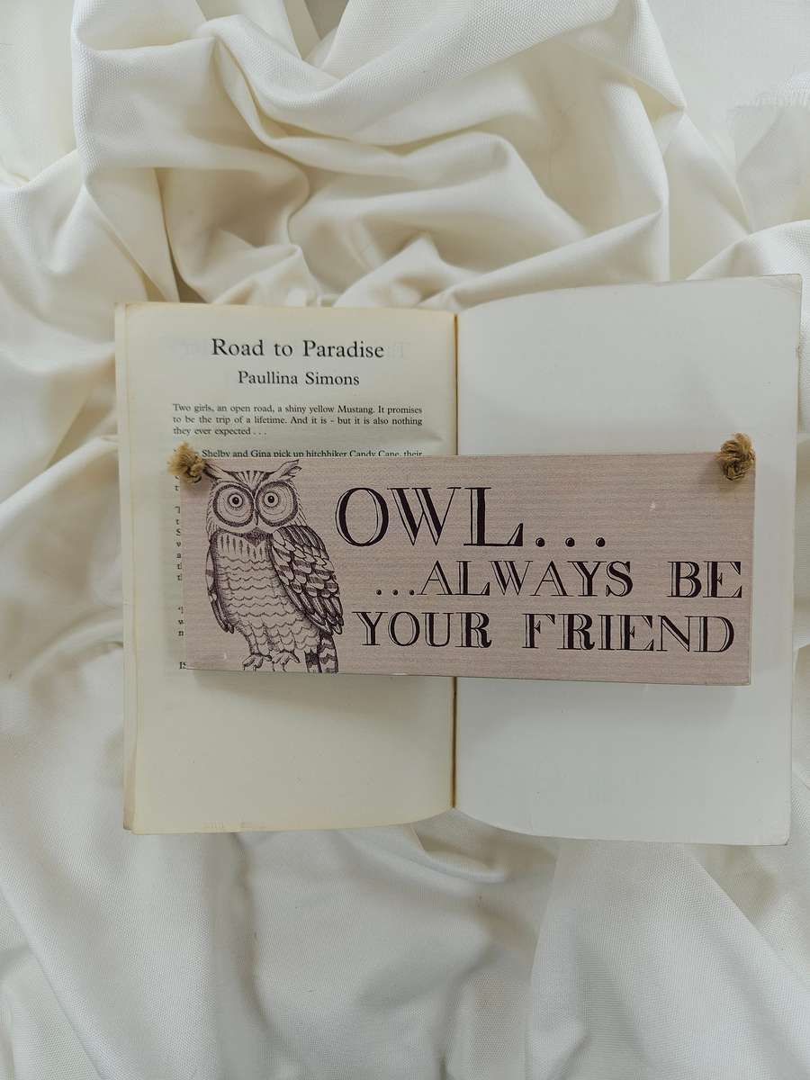 The Summer Garden by Paullina Simons - Paperback