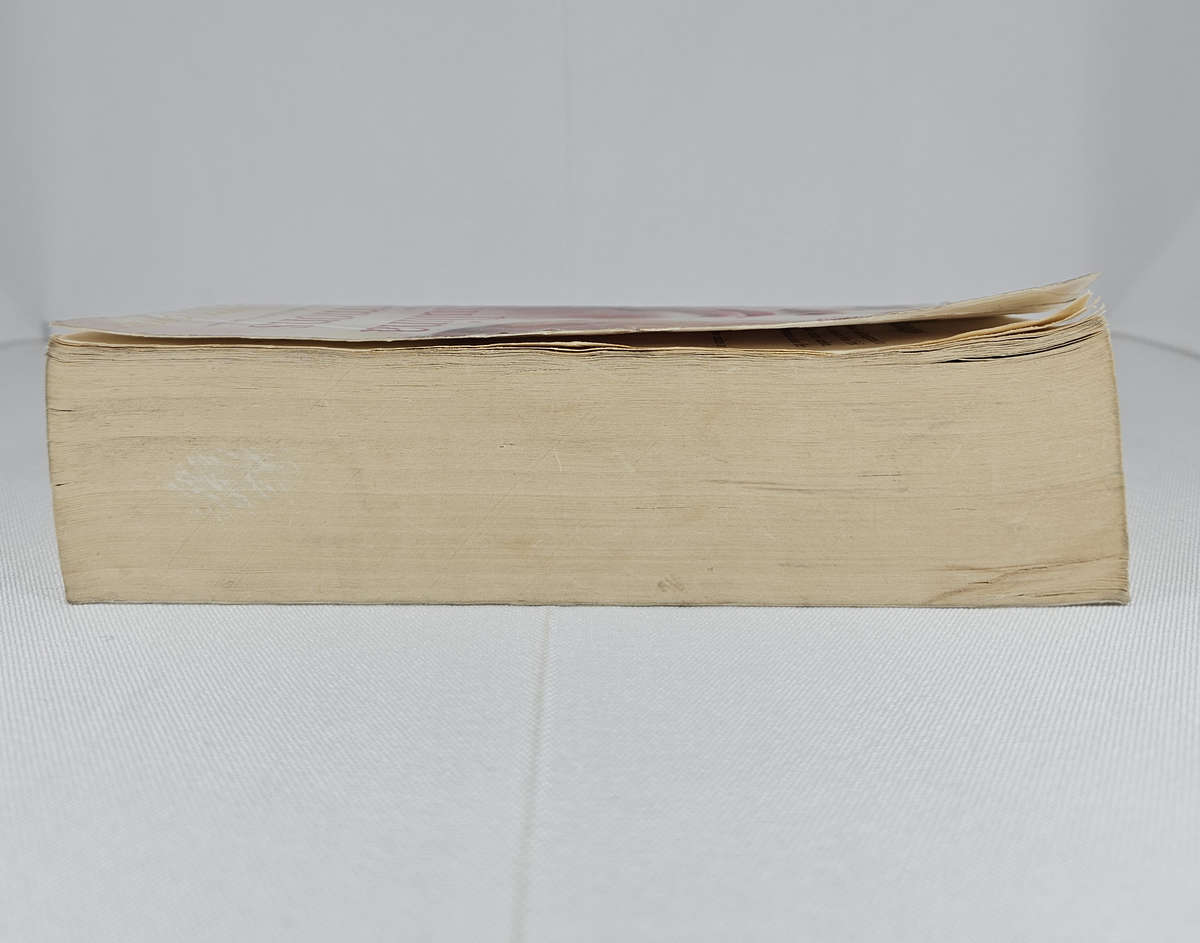 The Summer Garden by Paullina Simons - Paperback