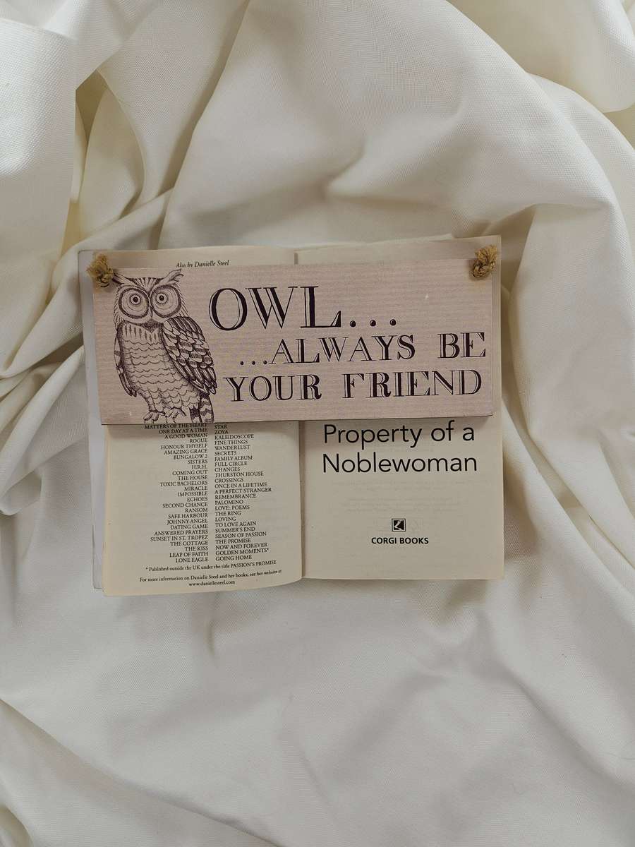 Property of a Noblewoman by Danielle Steel - Paperback