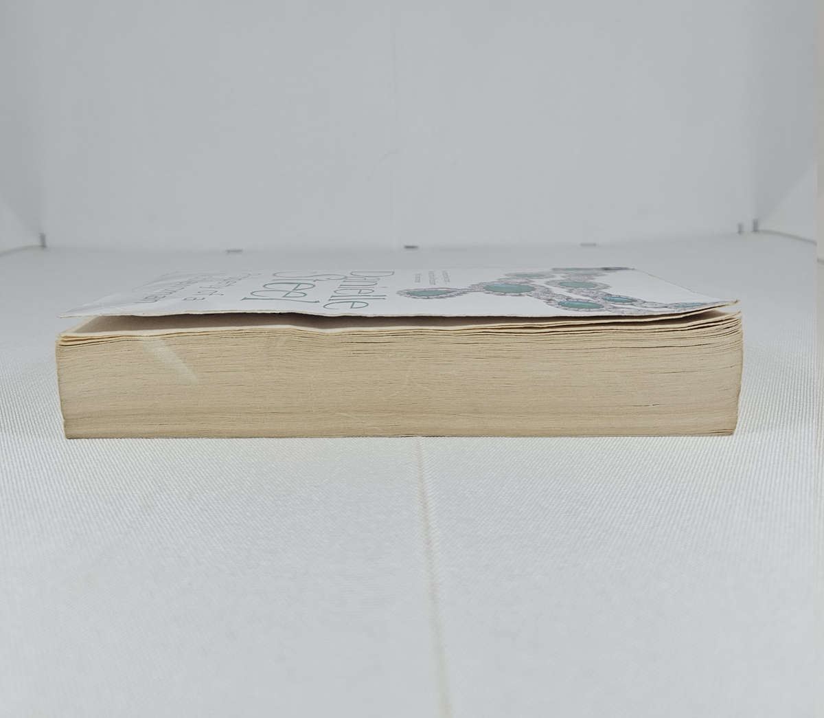 Property of a Noblewoman by Danielle Steel - Paperback