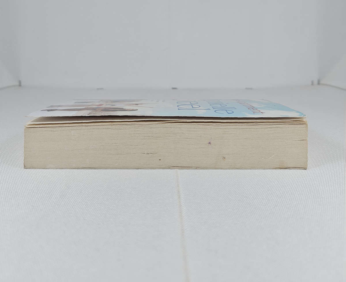 The Apartment by Danielle Steel - Paperback