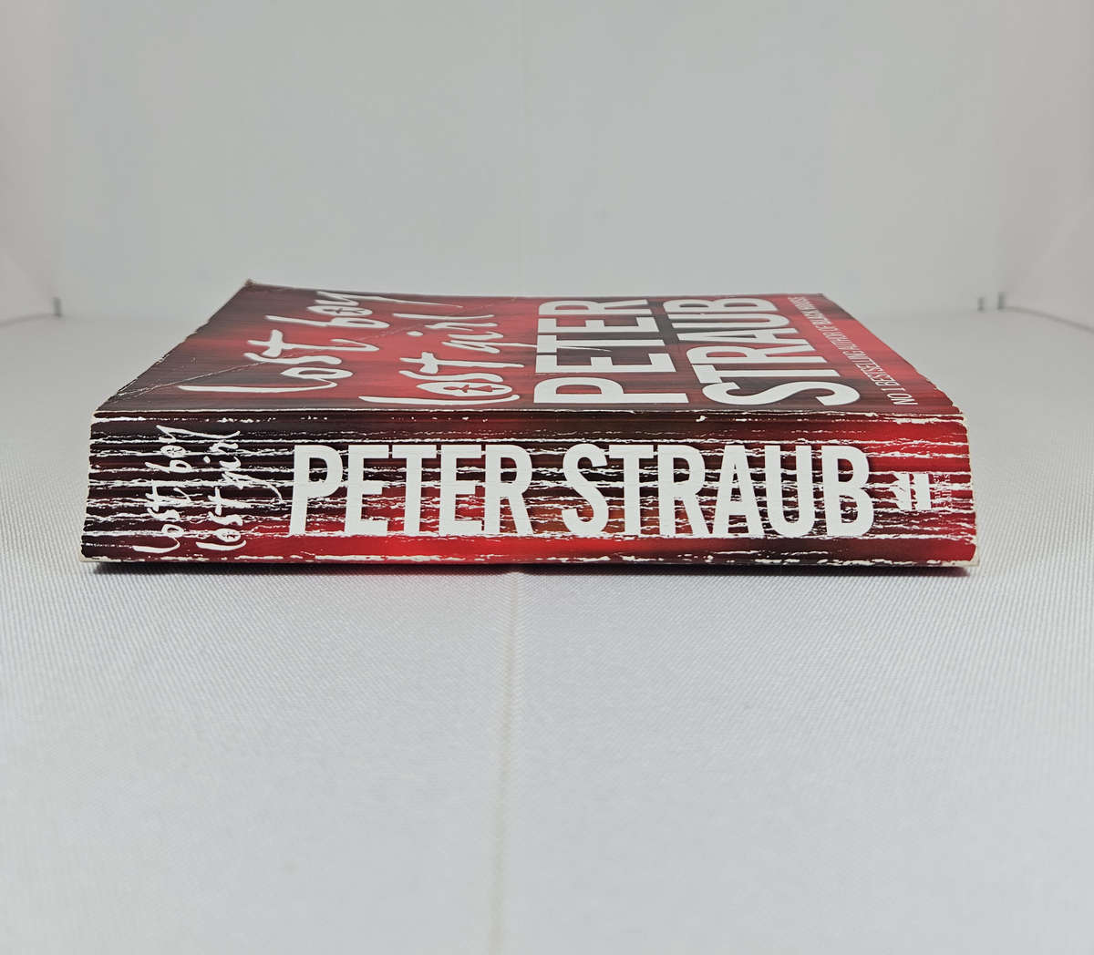 Lost Boy Lost Girl by Peter Straub - Paperback