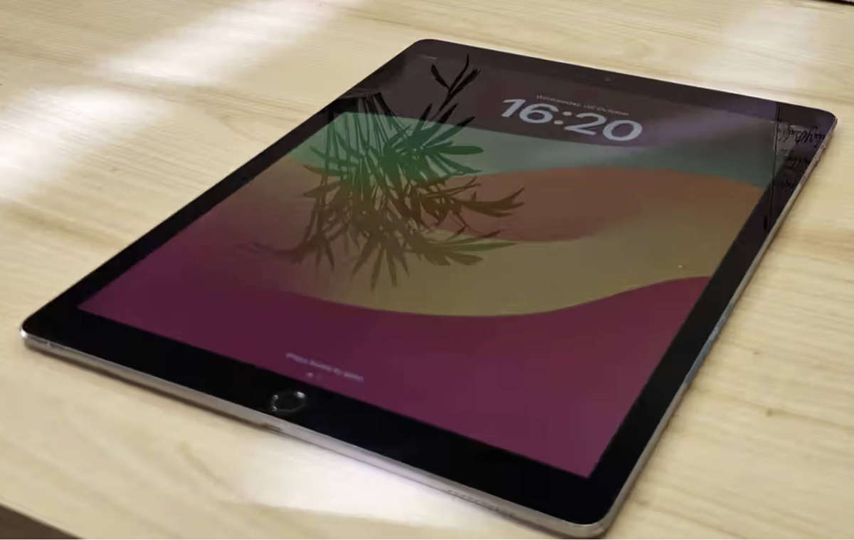 Ipad Pro 12.9 inch 2nd gen 256gb wifi and cellular