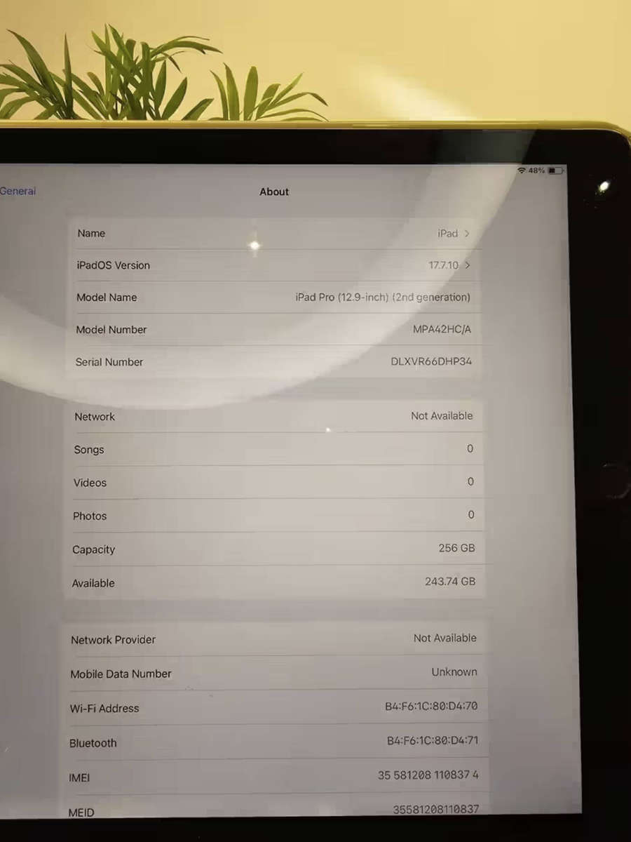 Ipad Pro 12.9 inch 2nd gen 256gb wifi and cellular