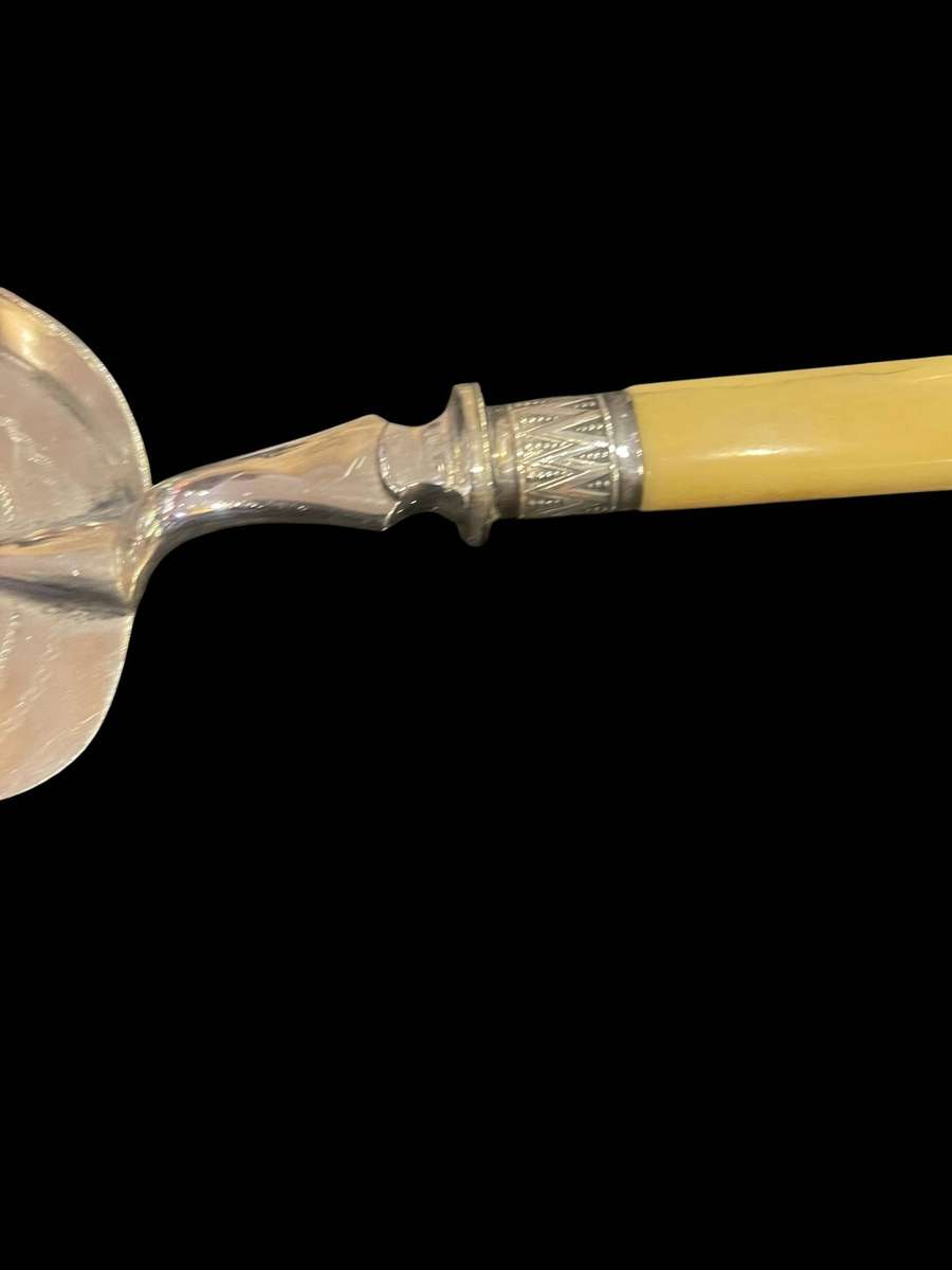 Lasagne lift/Silent butler