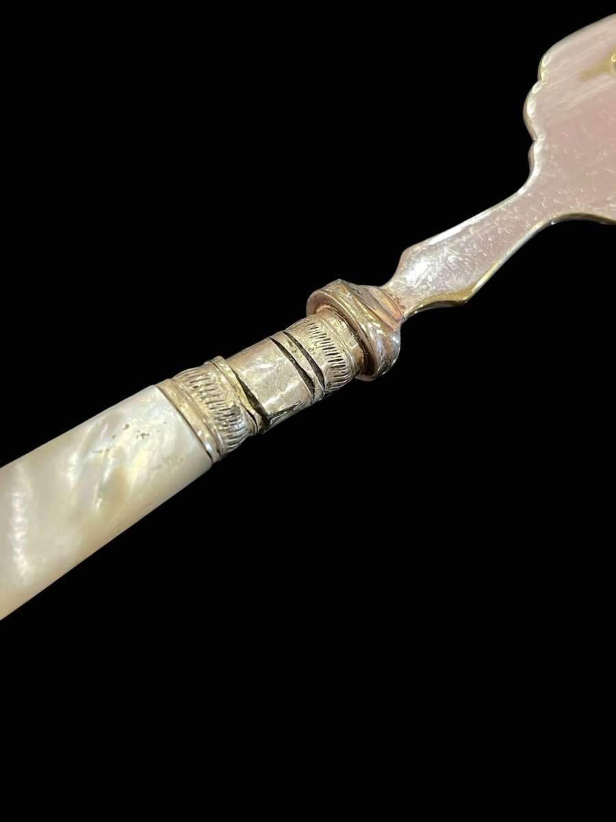 Cutlery mother of pearl x5