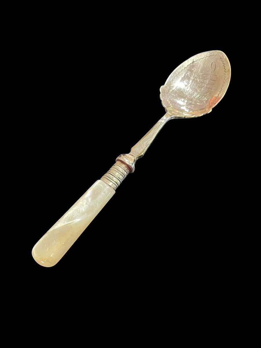 Cutlery mother of pearl x5