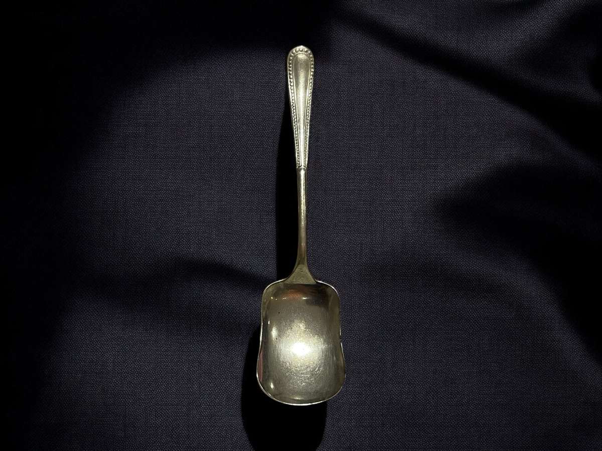Jam/ sugar spoon(Nr2)