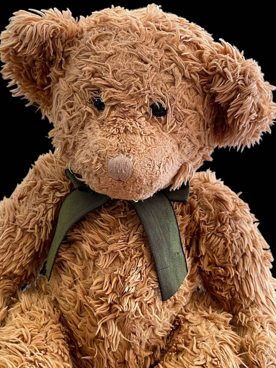 Teddy bear Russ