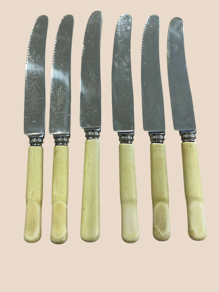 Dinner knives bone handled(NR13)