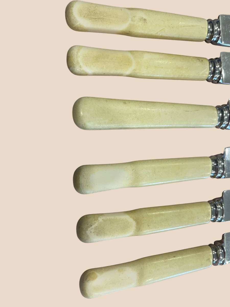 Dinner knives bone handled(NR13)
