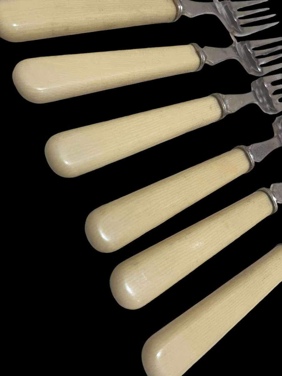 Forks bone handled(nr2)