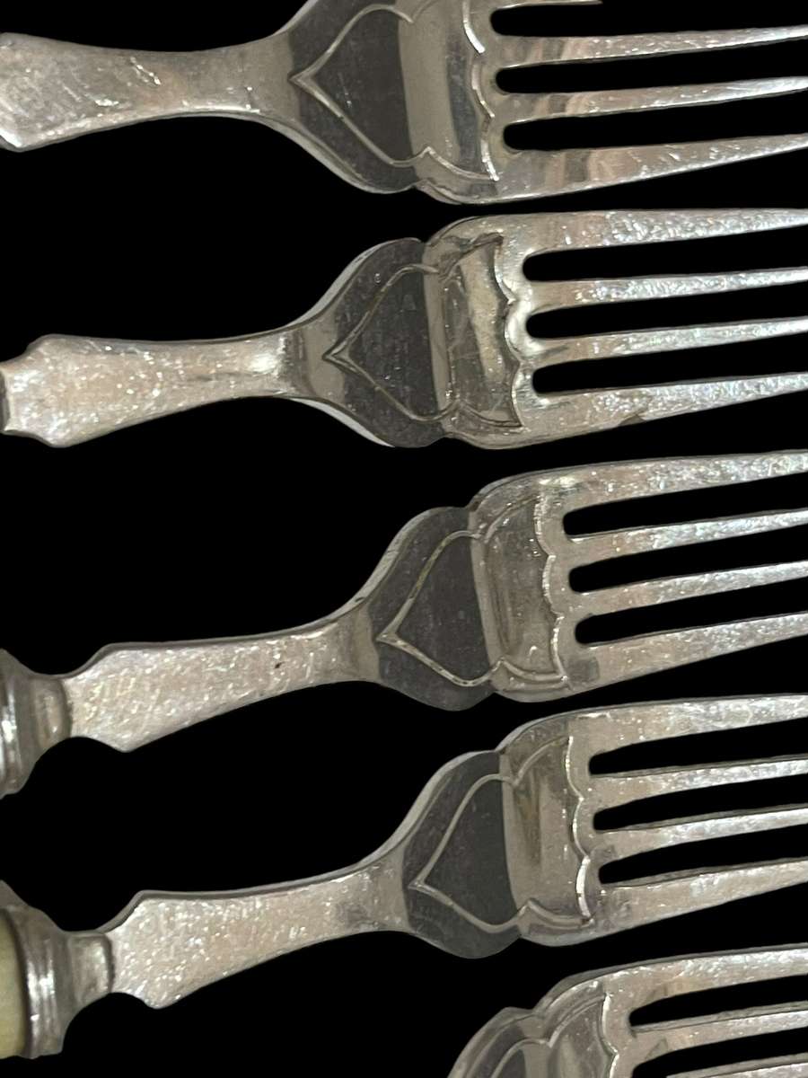 Forks bone handled(nr2)